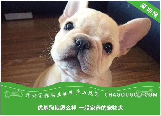 优基狗粮怎么样 一般家养的宠物犬